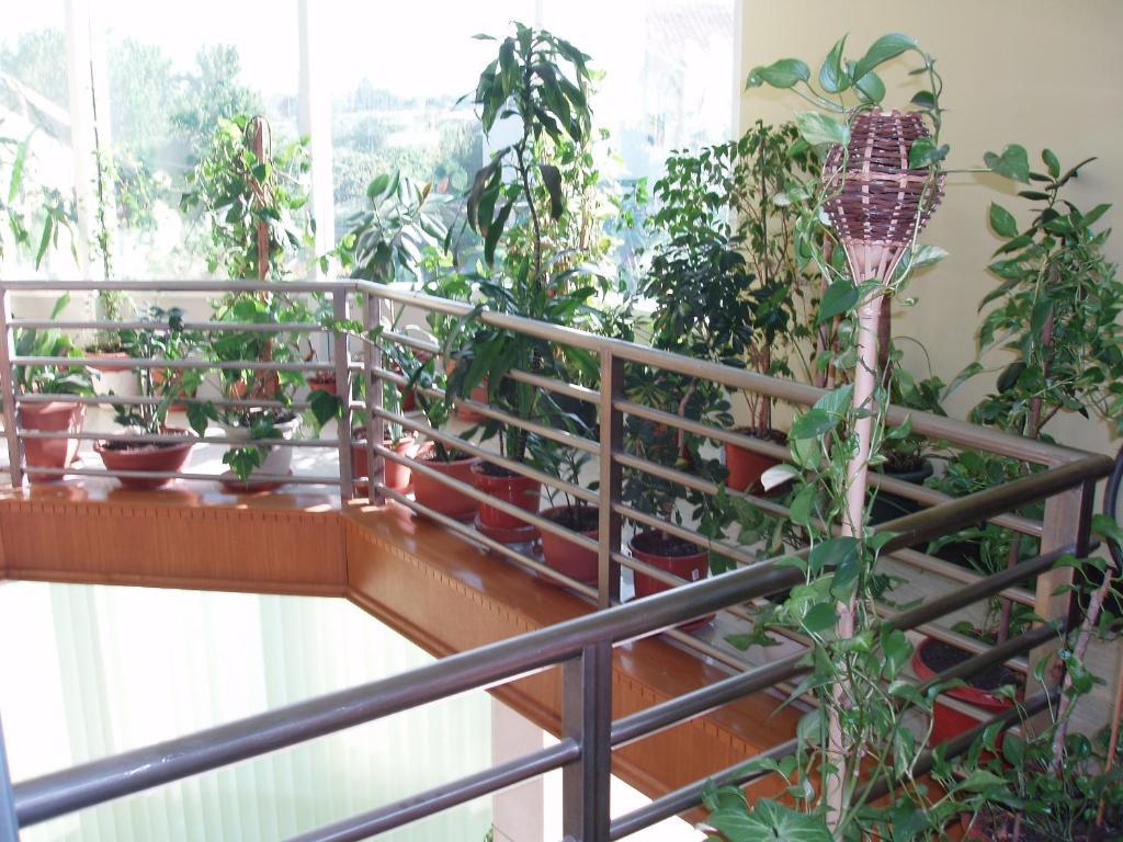 Motel Lav Čapljina Zewnętrze zdjęcie